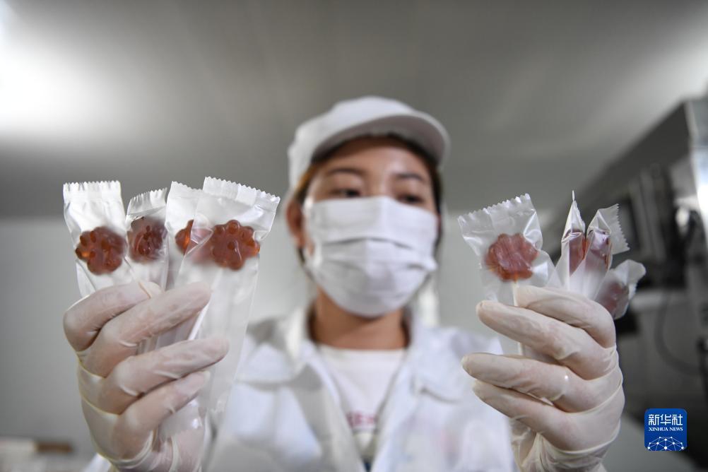 澳门新威斯尼斯